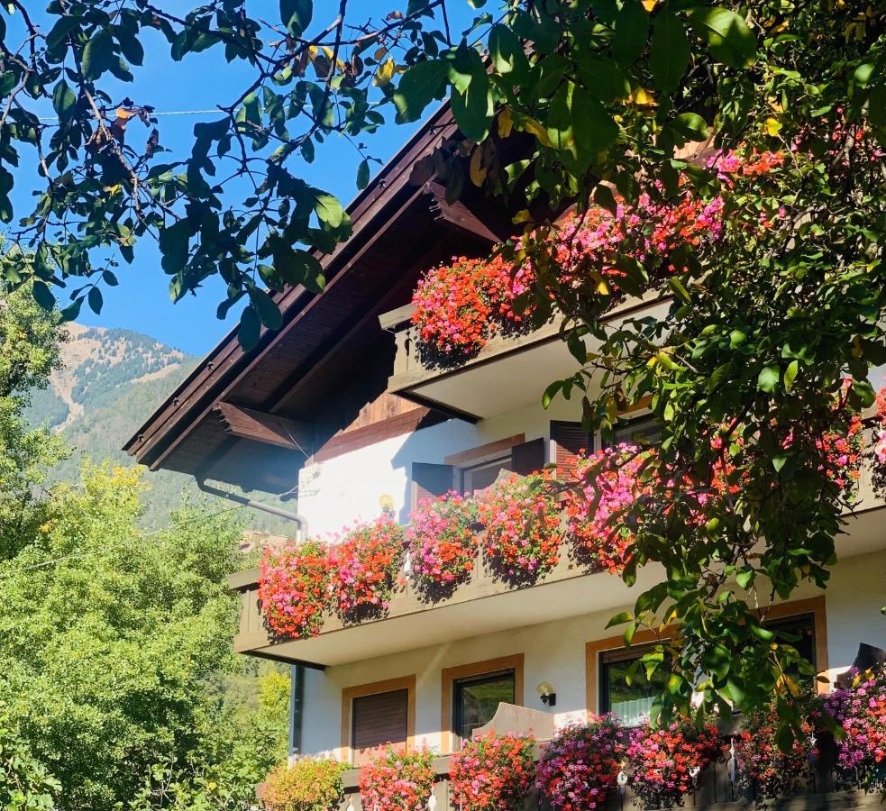 Tannerhof Bed & Breakfast Caines Екстер'єр фото