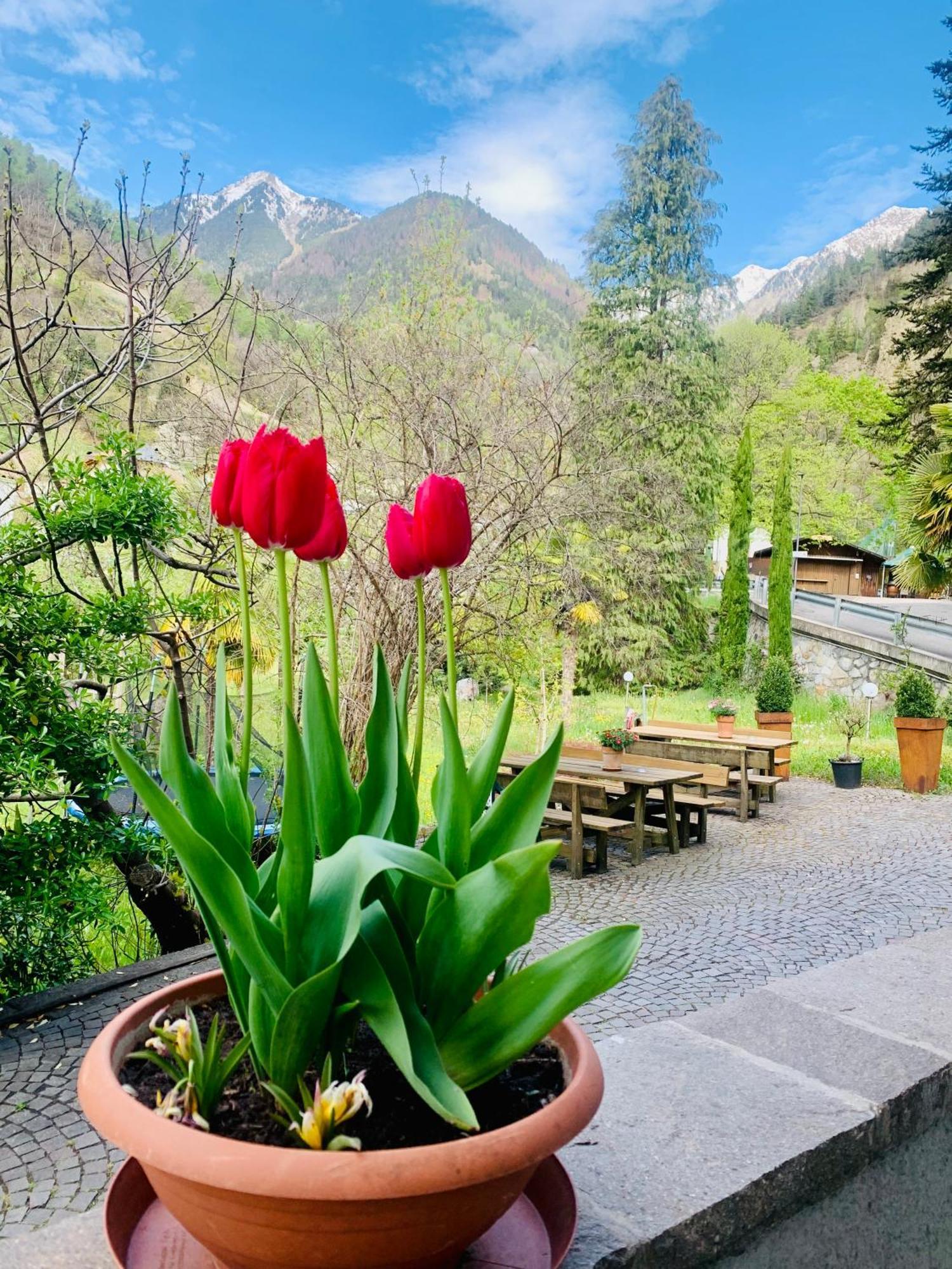 Tannerhof Bed & Breakfast Caines Екстер'єр фото